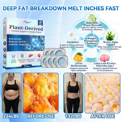 𝗙𝗹𝗼𝗿𝗶𝘀𝗺𝗮® 𝗣𝗟𝗔𝗡𝗧-𝗗𝗘𝗥𝗜𝗩𝗘𝗗 𝗖𝗲𝗹𝗹𝘂𝗹𝗮𝗿 𝗦𝘂𝗽𝗽𝗼𝗿𝘁 𝗖𝗼𝗺𝗽𝗹𝗲𝘅 𝗣𝗮𝘁𝗰𝗵 (𝗣𝗹𝗮𝗻𝘁 𝗲𝗻𝗲𝗿𝗴𝘆 𝗵𝗲𝗹𝗽𝘀 𝗿𝗲𝗱𝘂𝗰𝗲 𝘄𝗲𝗶𝗴𝗵𝘁 𝗯𝘆 𝗶𝗺𝗽𝗿𝗼𝘃𝗶𝗻𝗴 𝘁𝗵𝗲 𝗯𝗼𝗱𝘆'𝘀 𝗹𝘆𝗺𝗽𝗵𝗮𝘁𝗶𝗰 𝘀𝘆𝘀𝘁𝗲𝗺) 💎